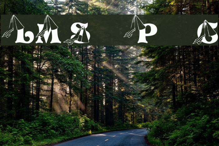 LMS Princess Cap Example 2