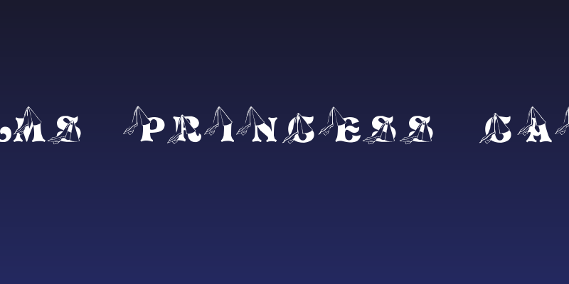 LMS Princess Cap Social Header