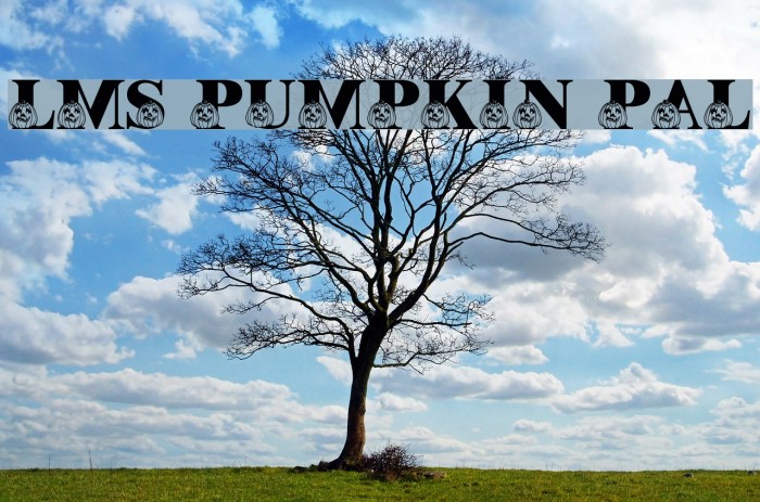 LMS Pumpkin Pal Font examples