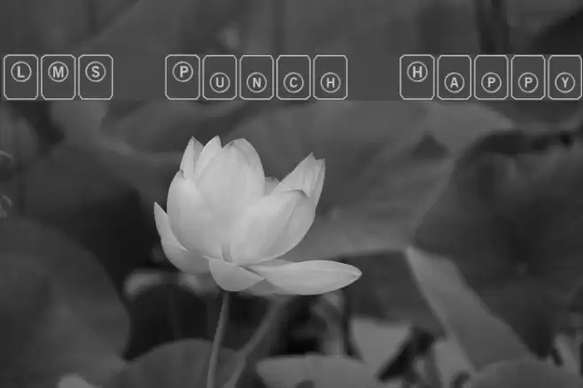 LMS Punch Happy Font examples