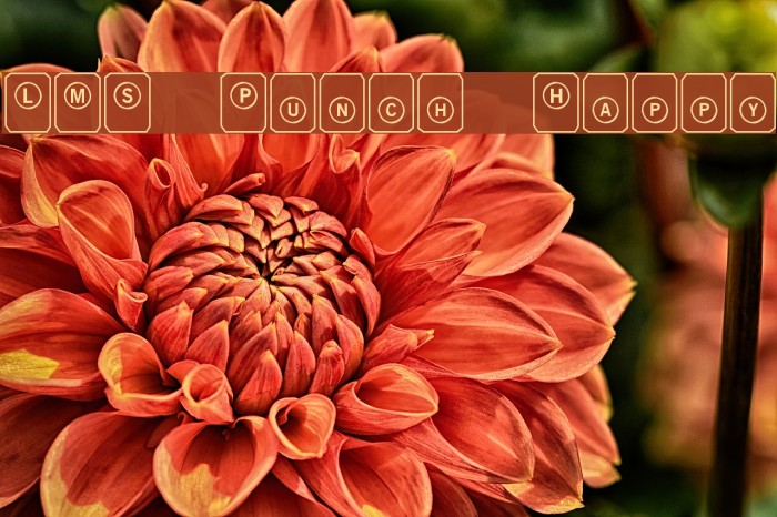 LMS Punch Happy Example 2