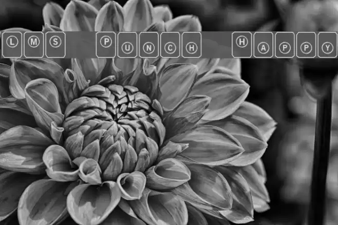 LMS Punch Happy Font examples