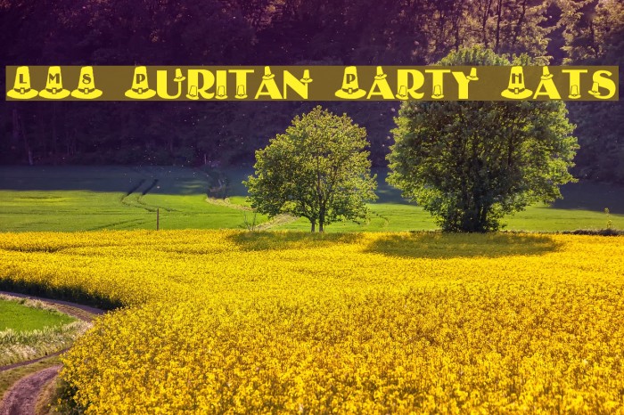 LMS Puritan Party Hats Example 1