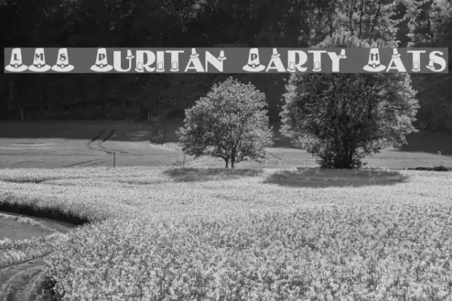 LMS Puritan Party Hats Font examples