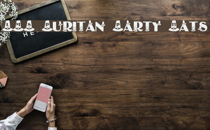 LMS Puritan Party Hats Example 2