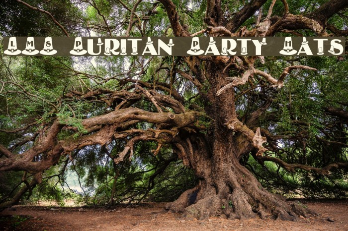 LMS Puritan Party Hats Example 3