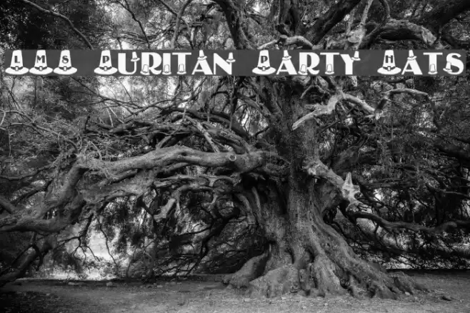 LMS Puritan Party Hats Font examples