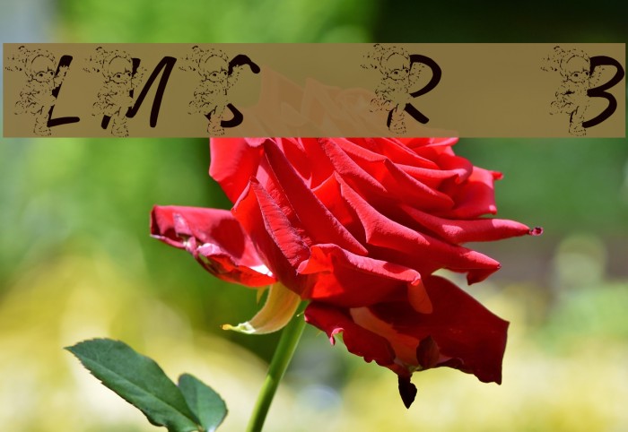 LMS Rainbow Bright Font examples