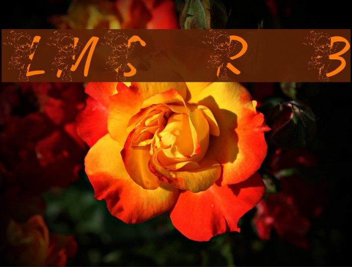 LMS Rainbow Bright Font examples
