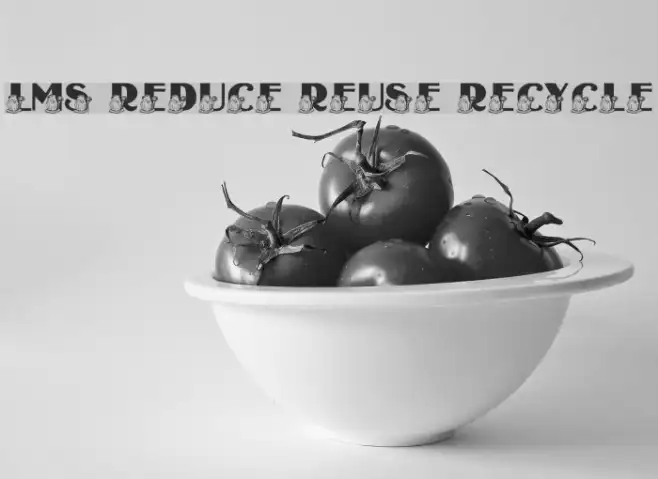 LMS Reduce, Reuse, Recycle Example 1