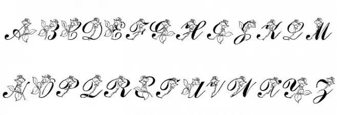 LMS Rose Font OTHER CHARS