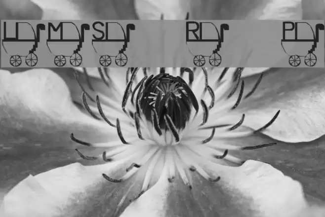 LMS Rykers Pram Font examples