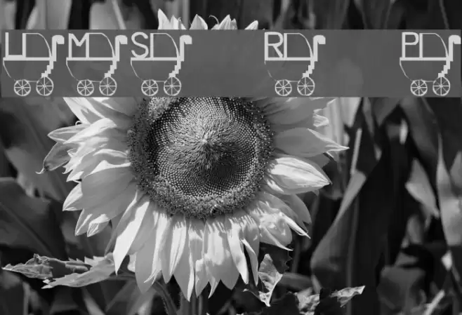 LMS Rykers Pram Font examples