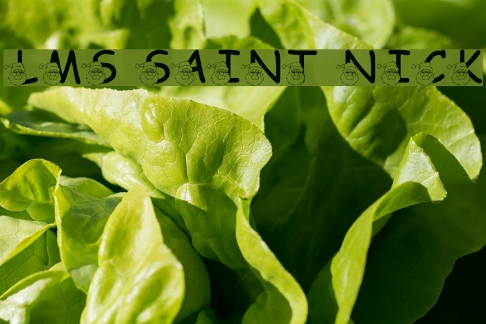LMS Saint Nick Font examples