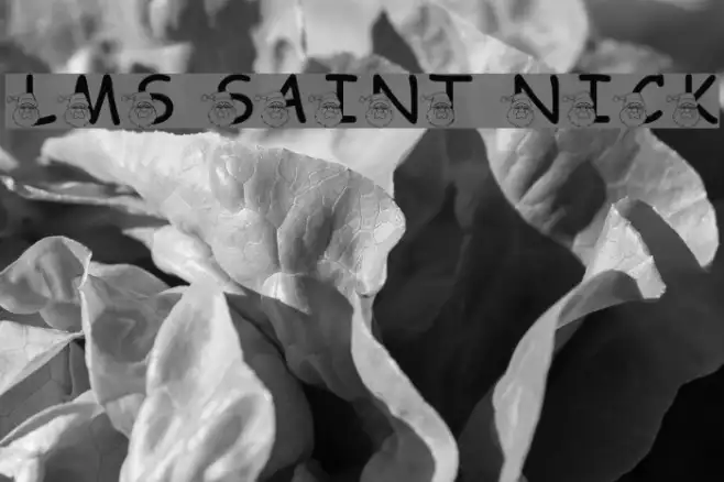 LMS Saint Nick Example 3