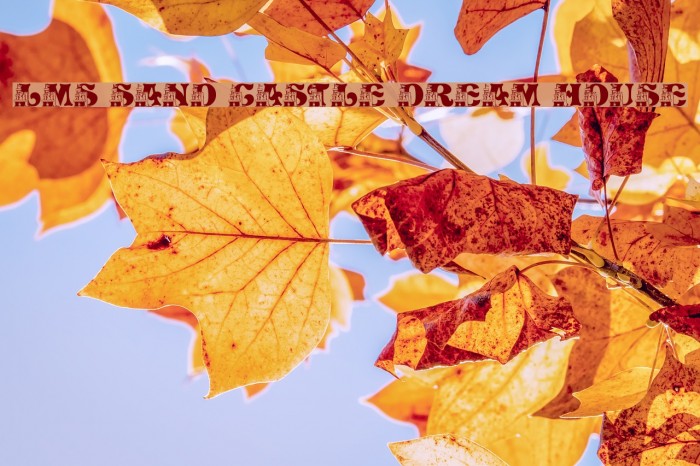 LMS Sand Castle Dream House Font examples