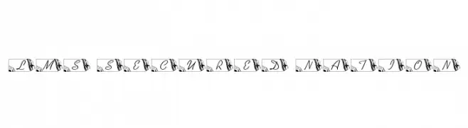 LMS Secured Nation  font caratteri gratis
