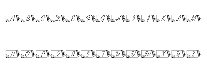 LMS Secured Nation Font LOWERCASE