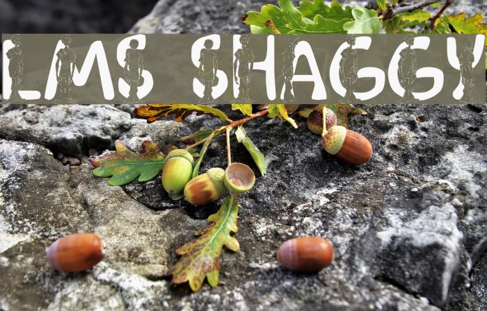 LMS Shaggy Font examples