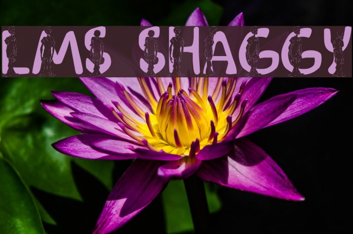LMS Shaggy Font examples