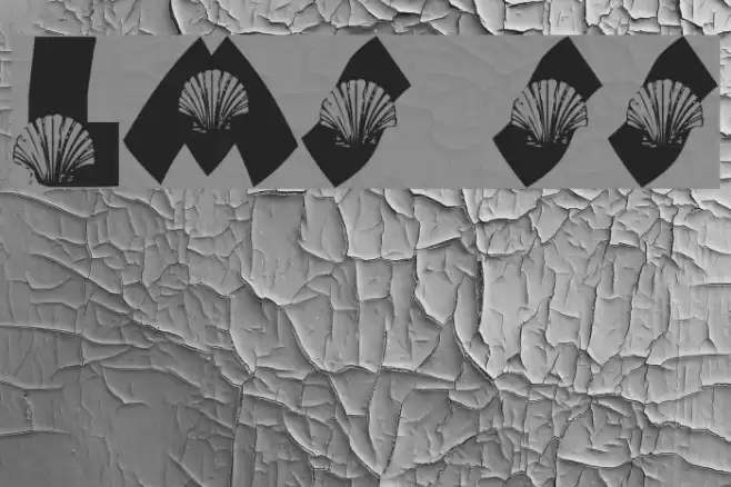 LMS She-Shells Font examples