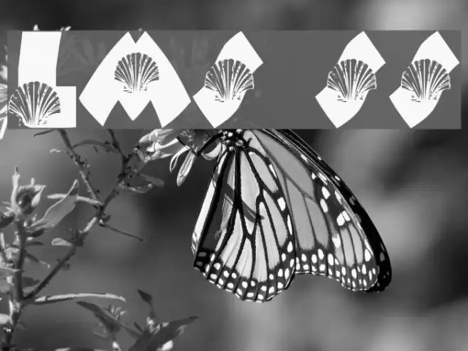 LMS She-Shells Font examples