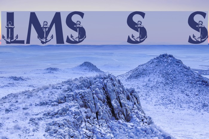 LMS Ship Shape Example 3