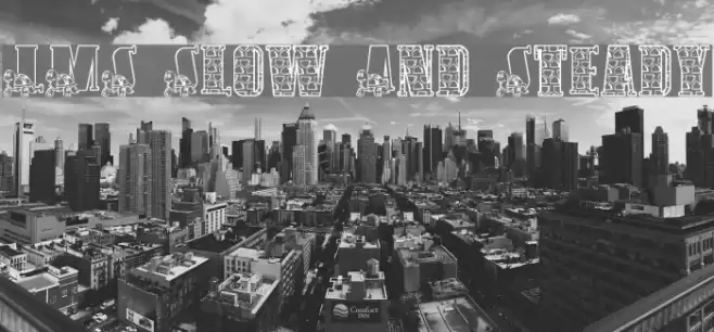 LMS Slow And Steady Font examples