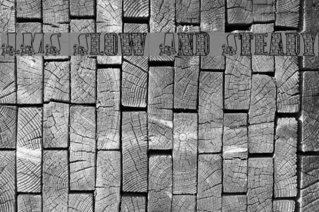 LMS Slow And Steady Font examples