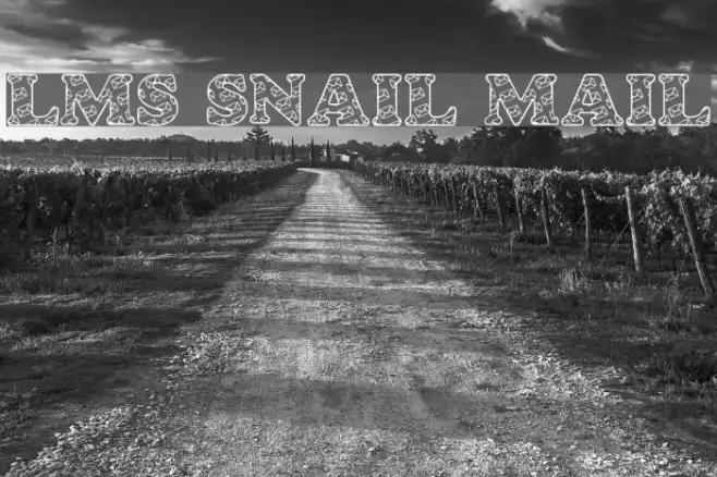 LMS Snail Mail Example 3