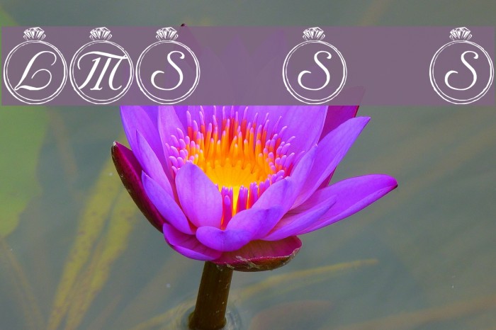 LMS Solitary Stone Font examples