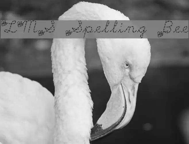 LMS Spelling Bee Font examples