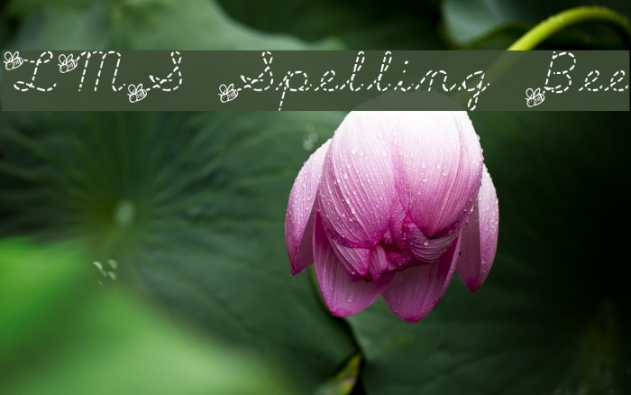 LMS Spelling Bee Example 2