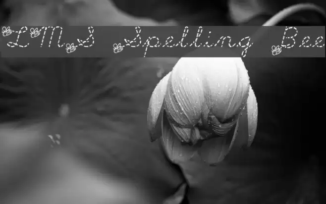 LMS Spelling Bee Font examples