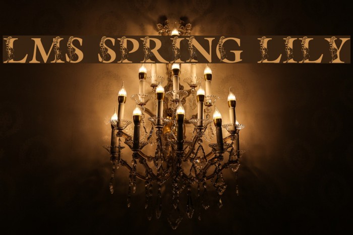LMS Spring Lily Example 1