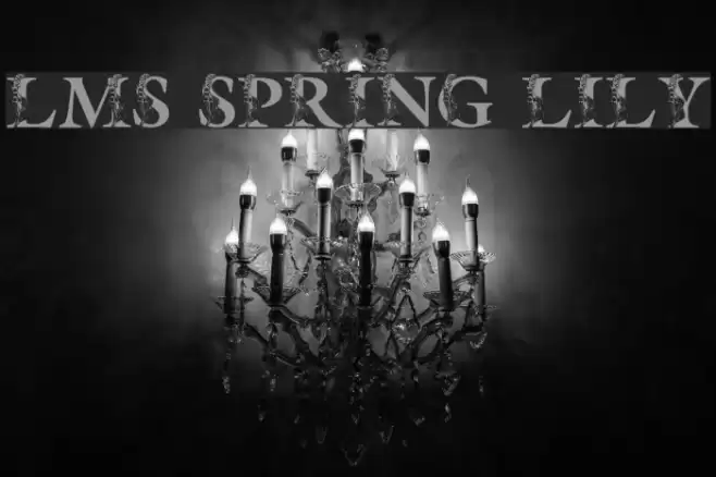 LMS Spring Lily Font examples