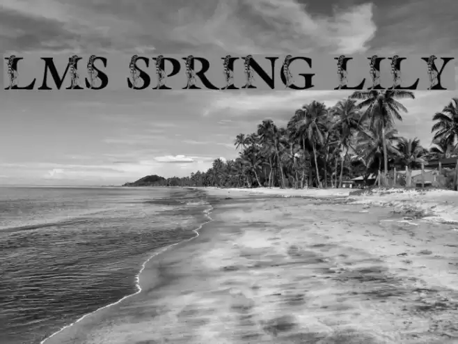 LMS Spring Lily Font examples
