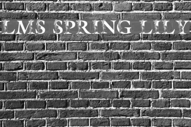 LMS Spring Lily Font examples