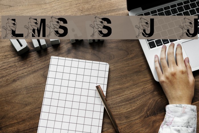 LMS St. Joe's Jayhawk Example 2