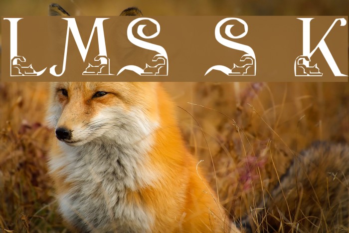 LMS Stalking Kitten Font examples