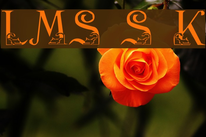 LMS Stalking Kitten Font examples