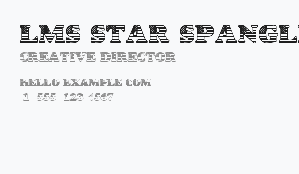 LMS Star Spangled Business Card
