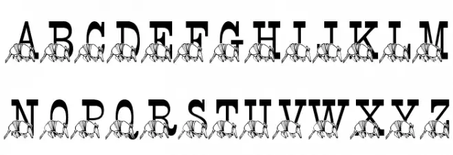 LMS Stef's Texas Friend 字体 小写