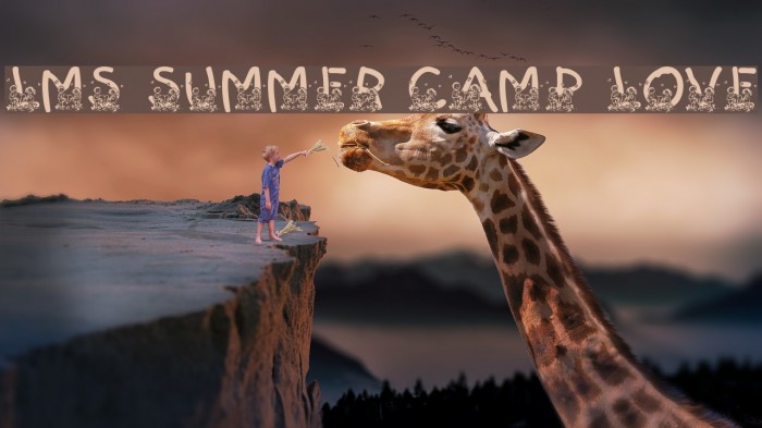 LMS Summer Camp Love Font examples
