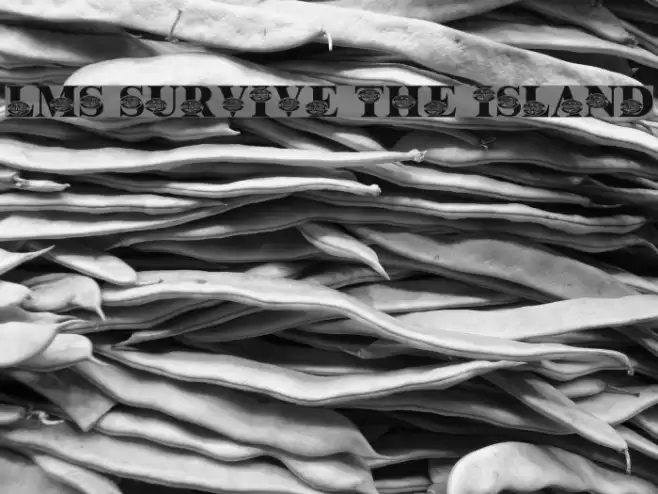 LMS Survive The Island Font examples