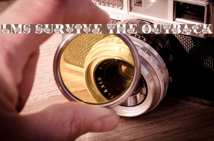 LMS Survive The Outback Example 2