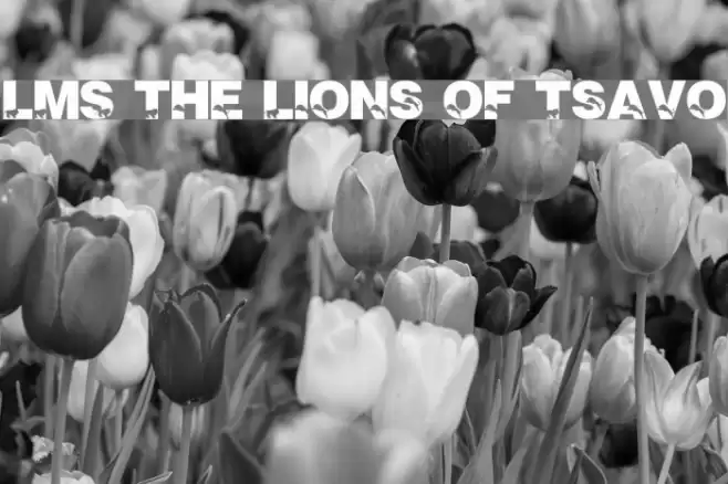 LMS The Lions of Tsavo Font examples