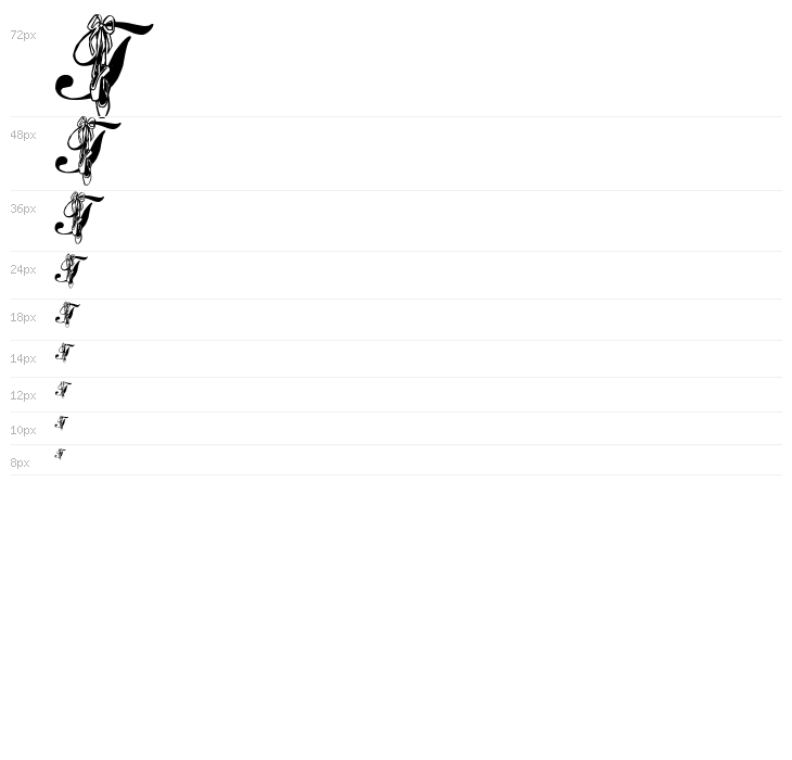 LMS Toe Shoes Waterfall