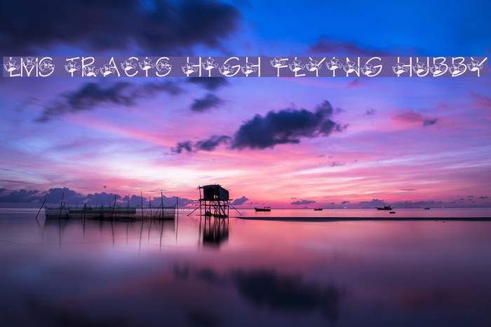 LMS Traci's High Flying Hubby Font examples