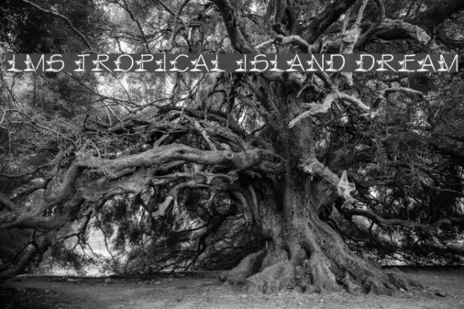 LMS Tropical Island Dream フォント examples